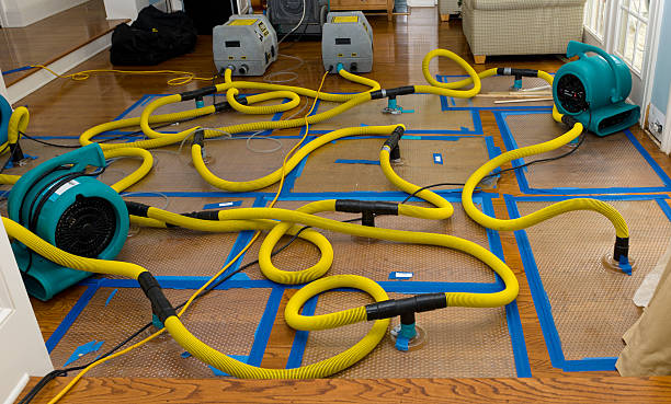 Professional Emergency Water Removal technician working in Rootstown, OH